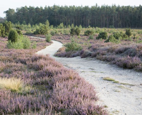 wandelen Vechtdal