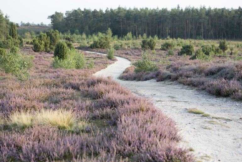 wandelen Vechtdal
