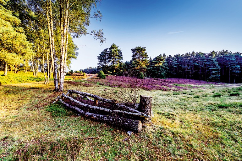 De Lüneburger Heide heeft unieke landschappen om van te genieten.