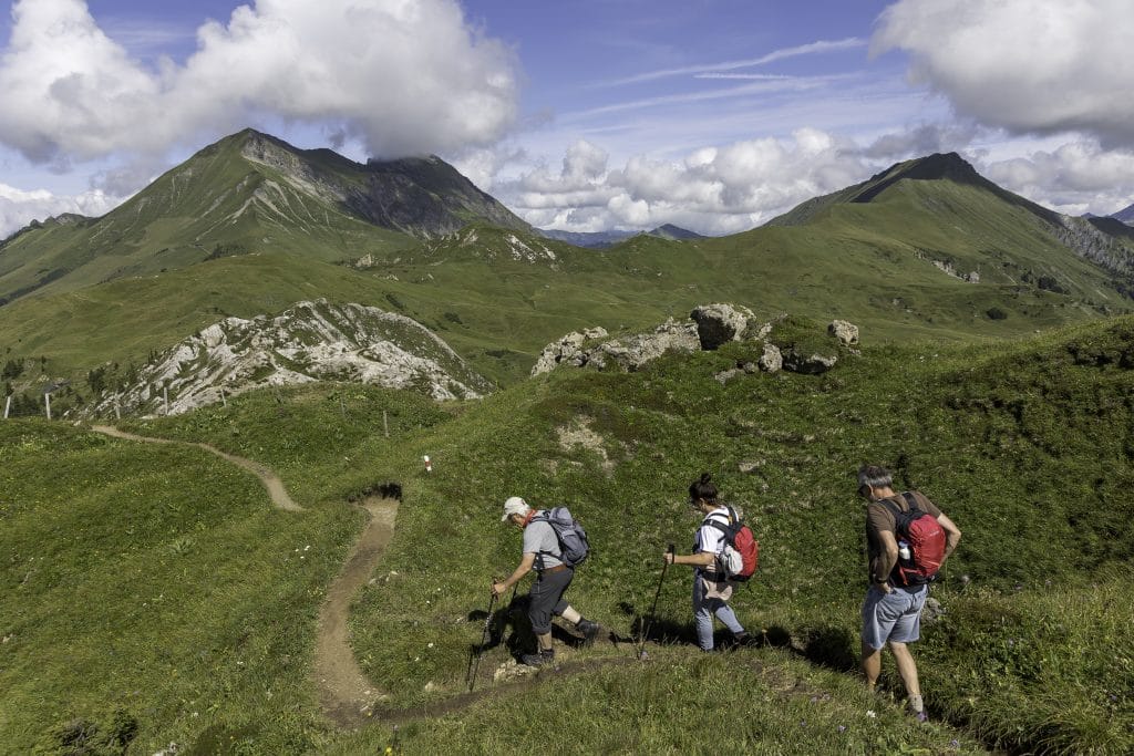 ACSI FreeLife TestTour_Berner Oberland_bloemenroute Leiterli