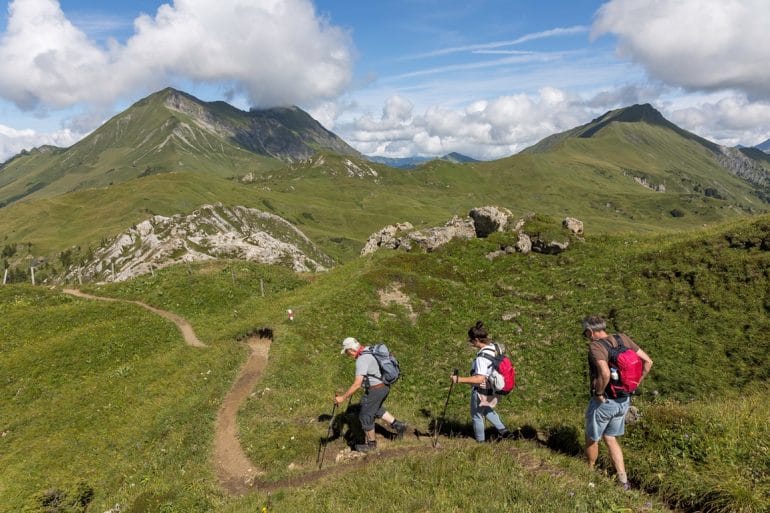 ACSI FreeLife TestTour 2021_Berner Oberland_Actief-bloemenroute-2695_WEB