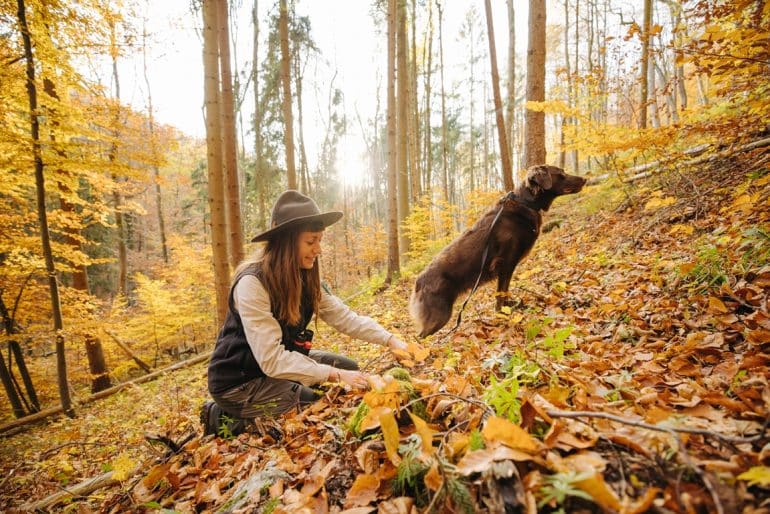 Duitse natuurparels_Bad Langensalza_Bad_Langensalza_Waldhüterin_mit_Hund_auf_Pilzsuche_im_herbstlichen_Wald_im_Nationalpark_Hainich