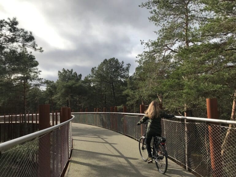 Belgisch Limburg_fietsen door de bomen