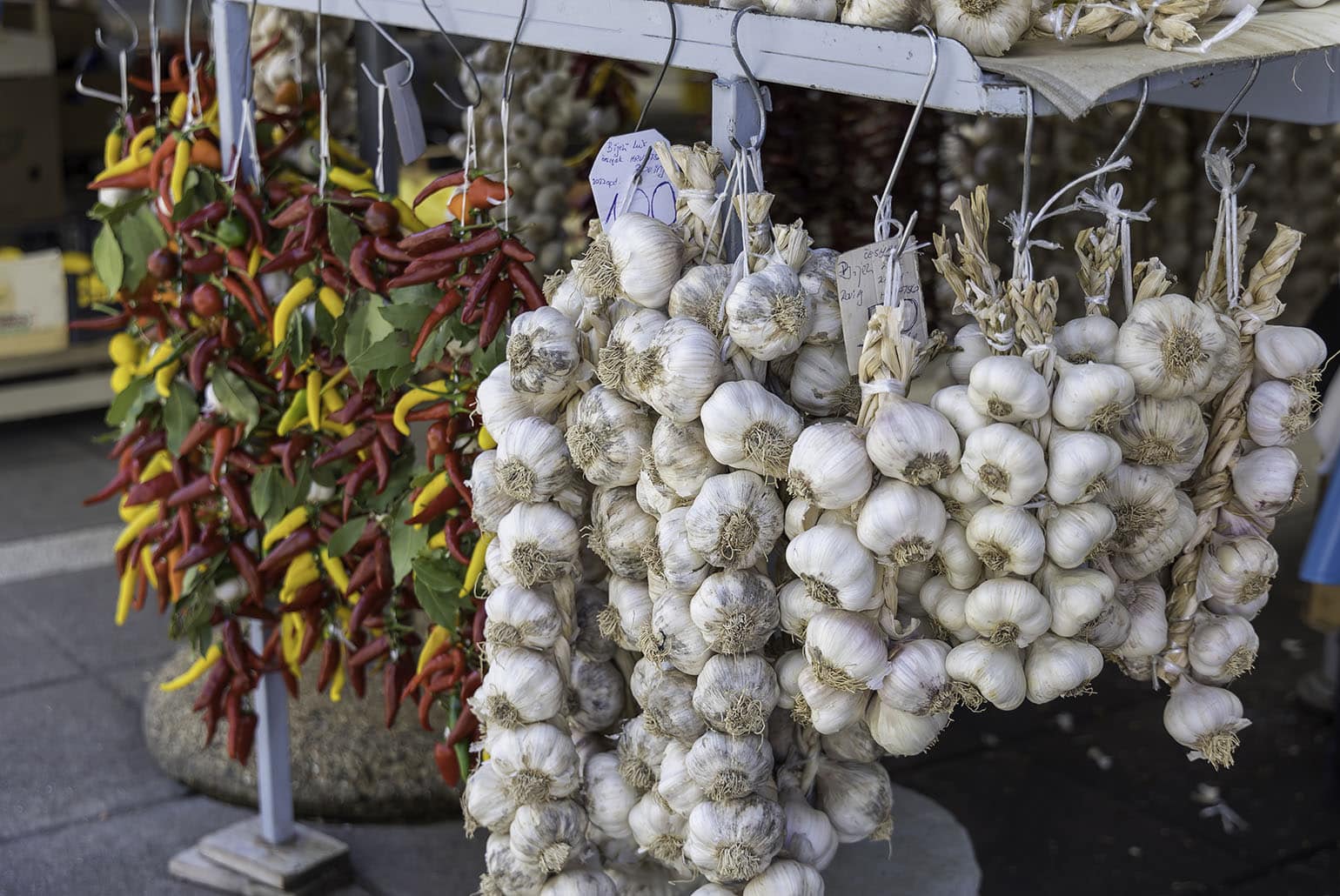 TestTour Kroatië_Rovinj_markt