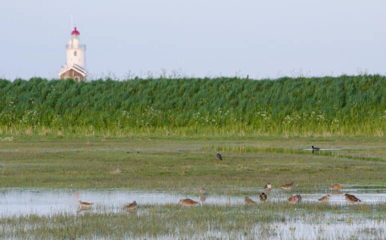 Nederland in 4 seizoenen_IJsselmeer_Marken