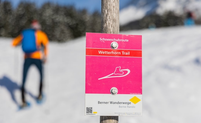 Winterkamperen Berner Oberland_sneeuwschoenwandelen_Wetterhorn Trail