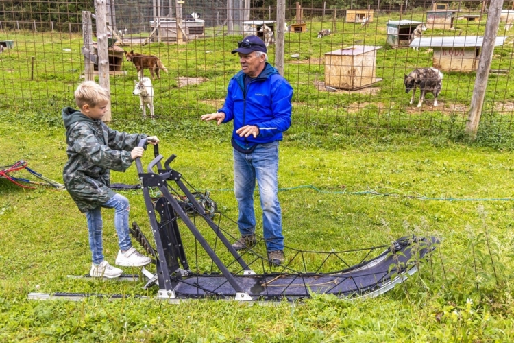 TestTour Jura_testteam Actieve Levensgenieters_cani-rando_Sam bij de slee