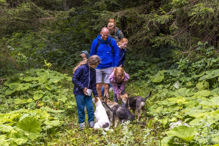 TestTour Jura_testteam Actieve Levensgenieters_cani-rando_hond uitlaten