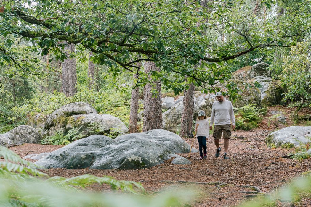 Vader en dochter in het bos van Fontainebleau