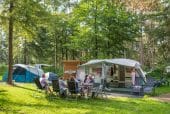 RCN het grote bos vakantiepark Utrechtse Heuvelrug kamperen met prive sanitair 3