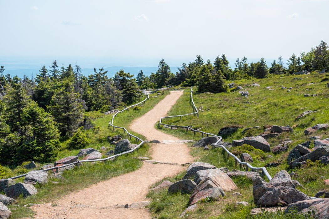 Harz campings