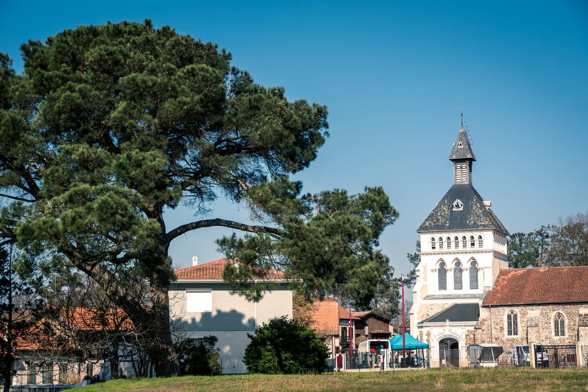 Camping L'Arbre d'Or
