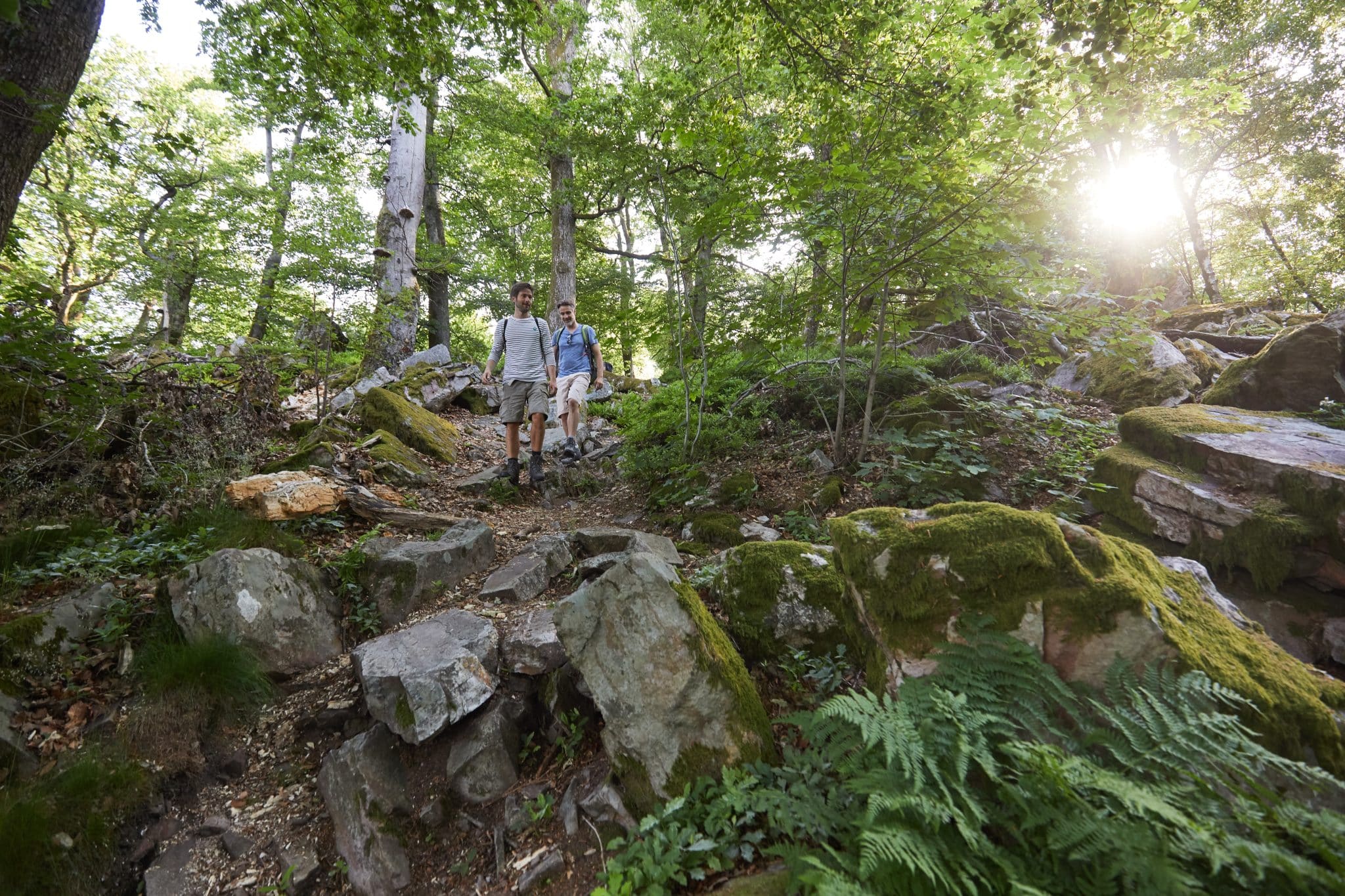 Saar Hunsruck Steig copy Marcus Gloger scaled