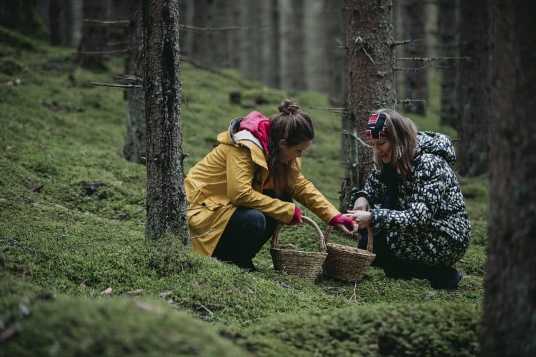 Småland