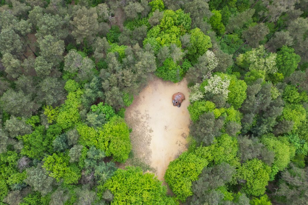 DJI_0149