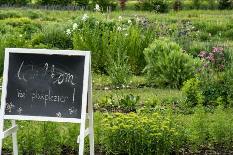 Belgische Kempen