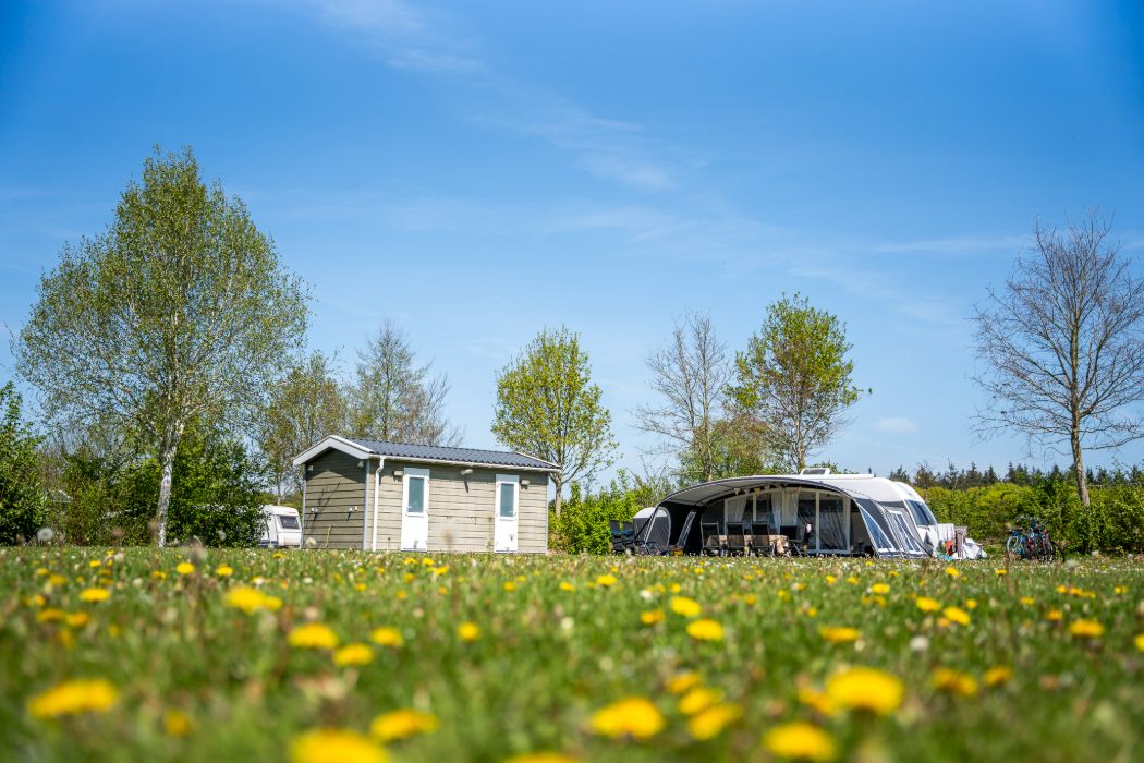 Camping