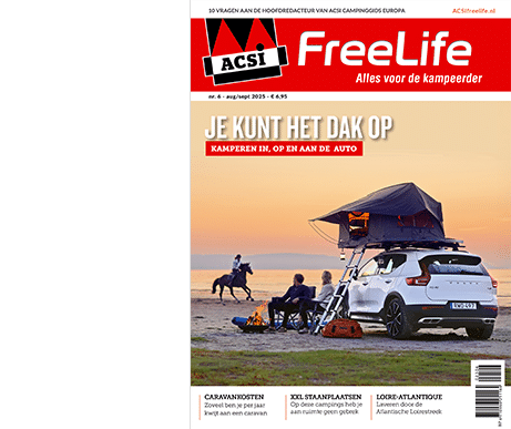 losse nummers pag 461x387 2