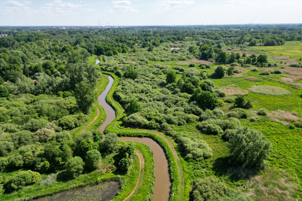 Belgische Kempen