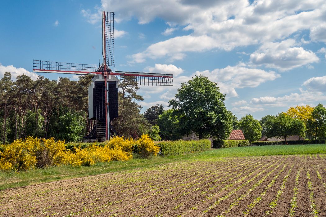 Belgische Kempen