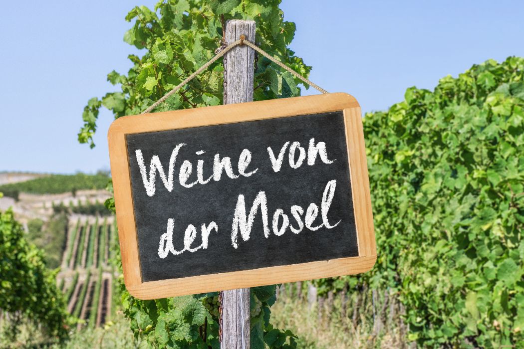 shutterstock_2287109769