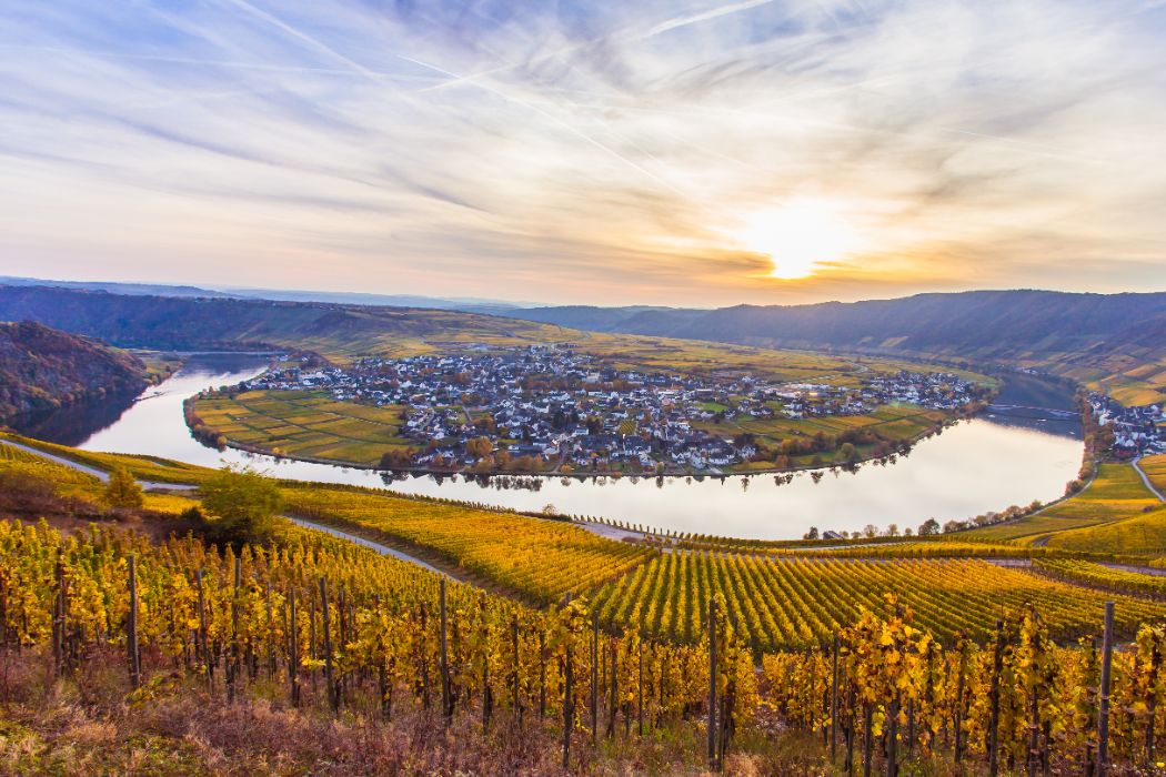 shutterstock_510733150