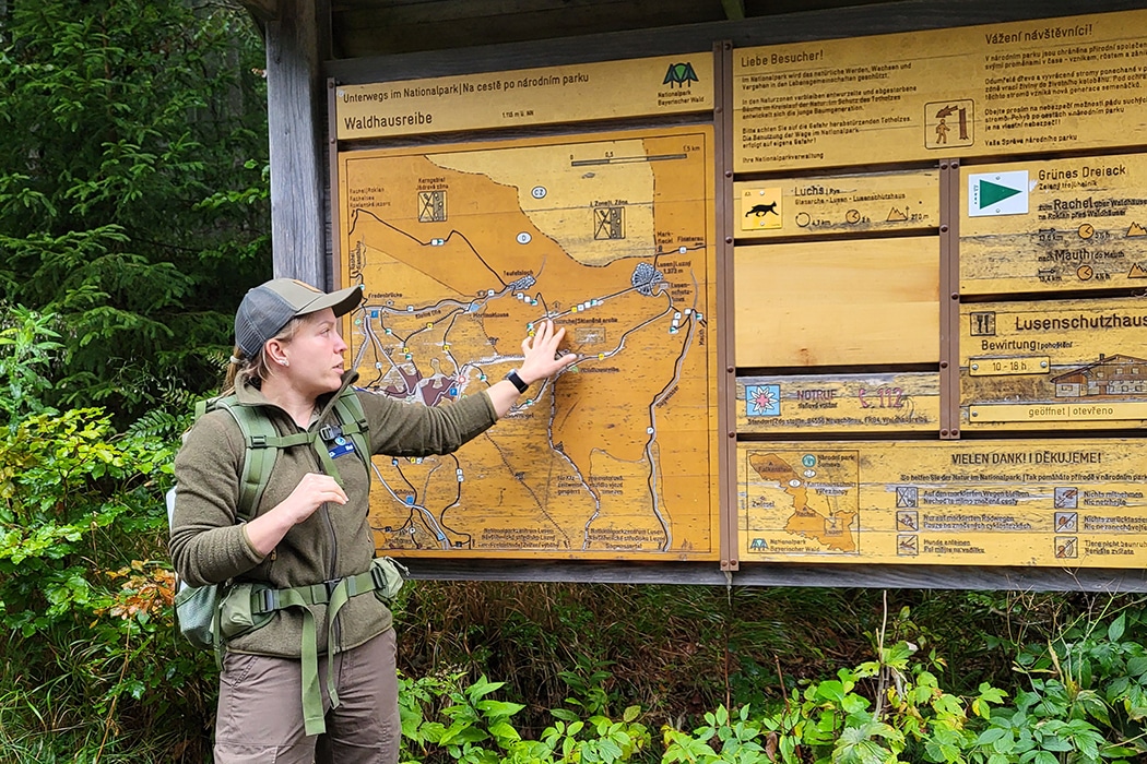 Nationaalpark Beierse Woud