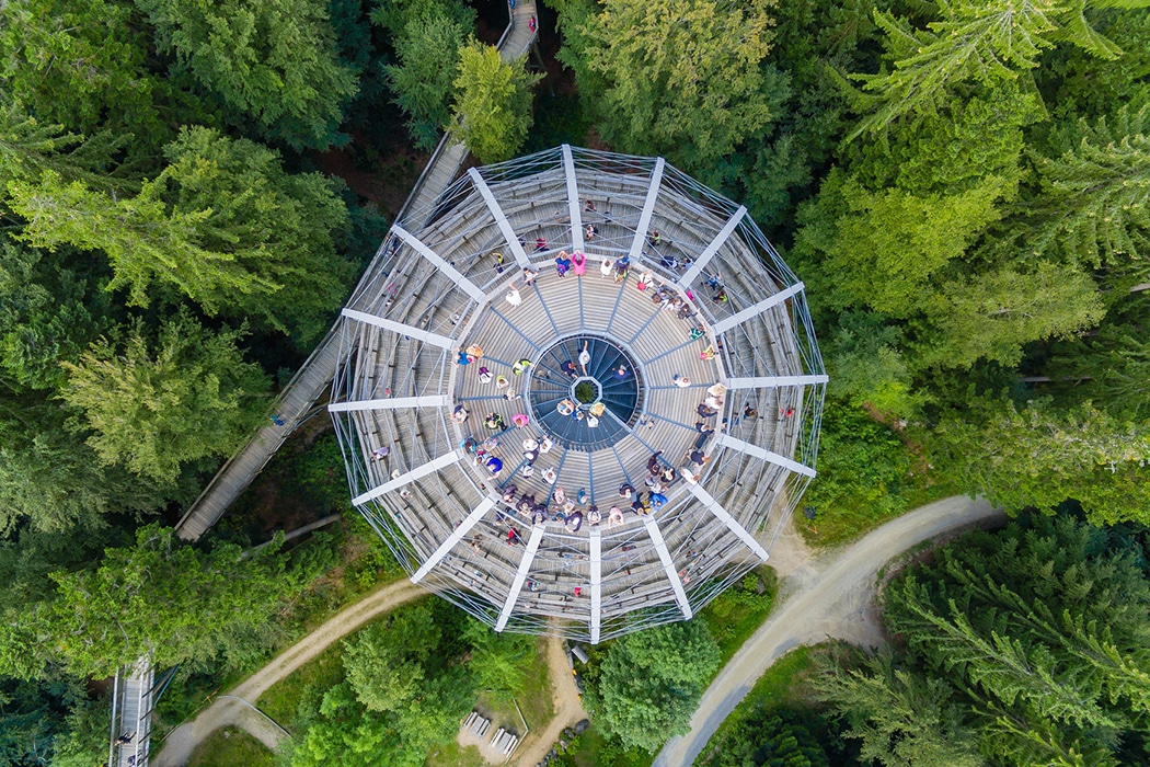 Baumwipfelpfad - Beierse Woud