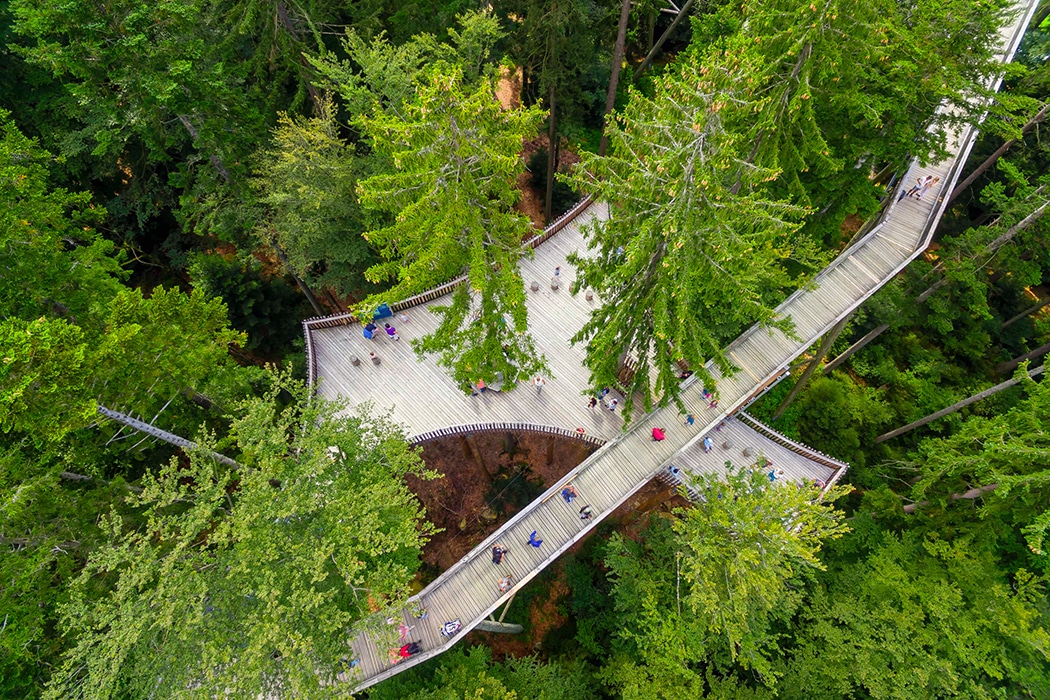 Baumwipfelpfad - Beierse Woud