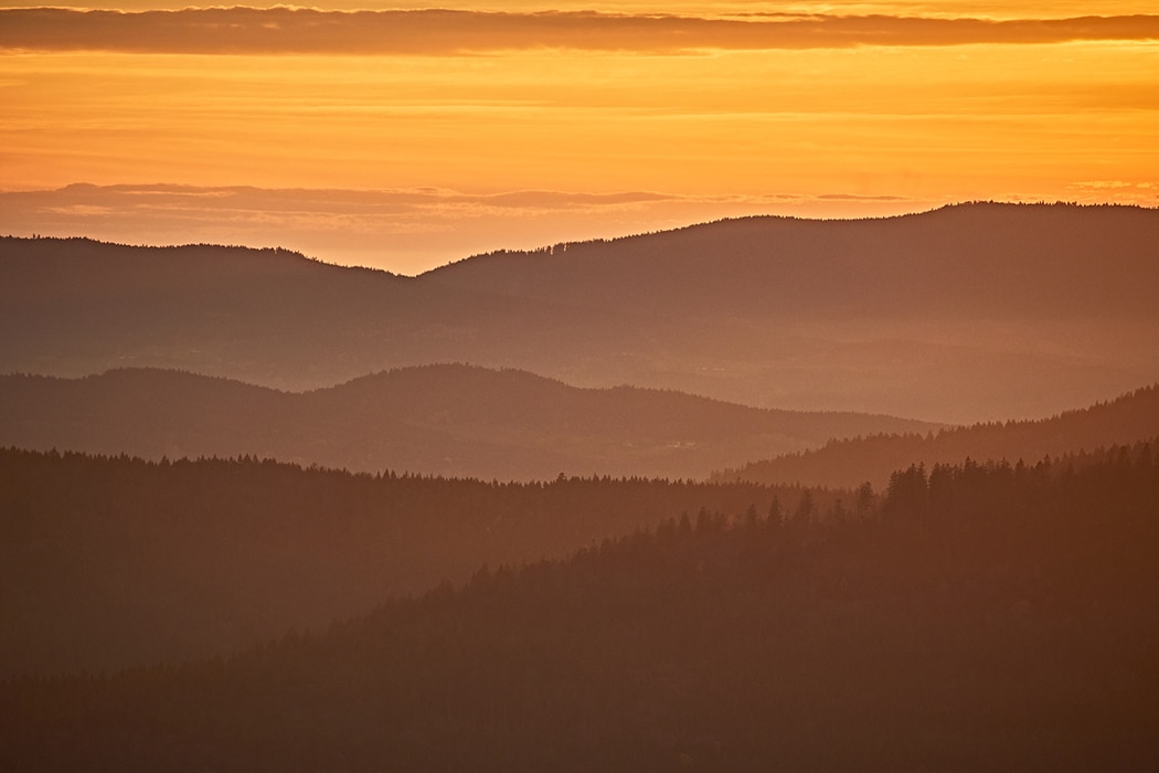 Nationaal Park het Beierse Woud