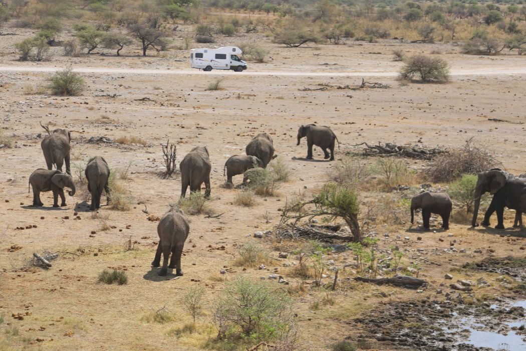 camperreis Namibië