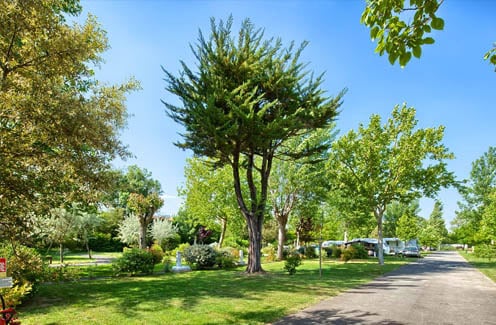 Camping Au Port-Punay