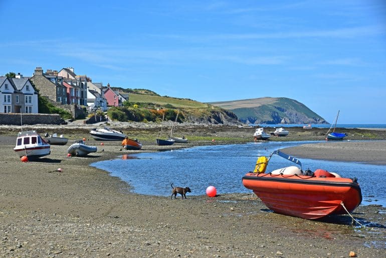 Camperreis_kamperen_f_121_Wales_PembrokshireCoastNP_Newport_9269_HEINKE_${0253750258}