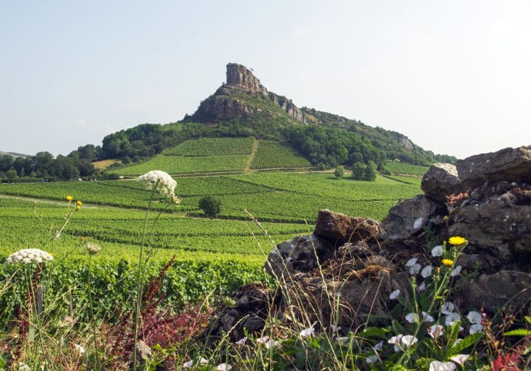 Alain DOIRE BFC Tourisme BFC 0010418