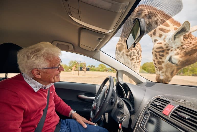 Libéma_Safaripark