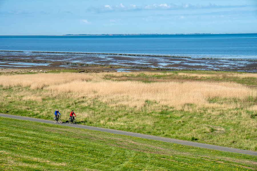 fietsen door het duinlandschap