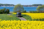 freelife kustkamperen sonderjylland 4