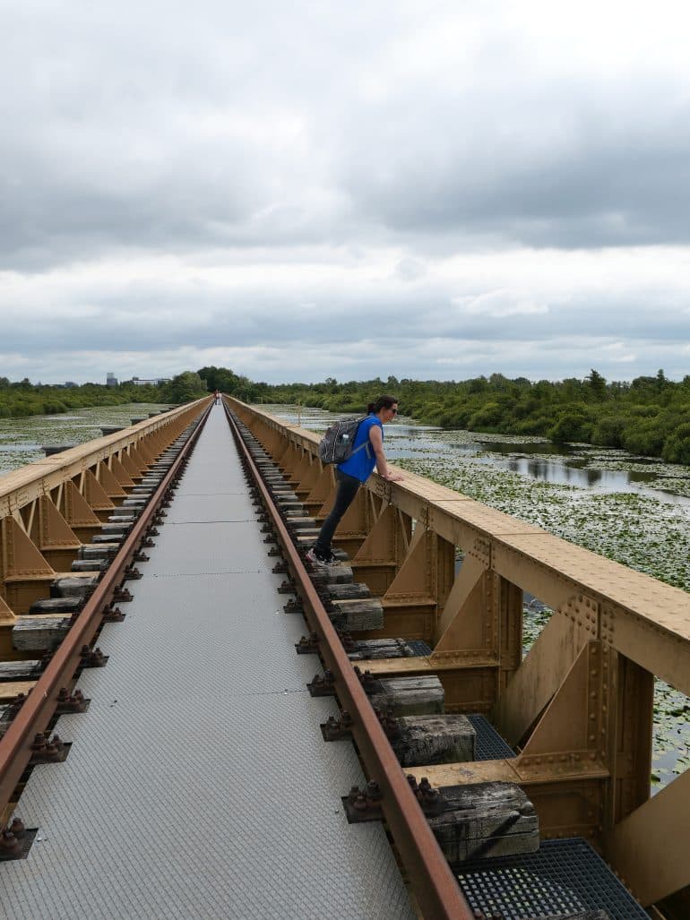 8. Moerputtenbrug bij Den Bosch