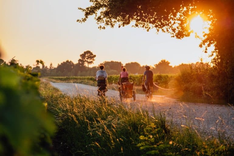 Bordeaux - Coucher de soleil dans les vignes©Timothée Buisson