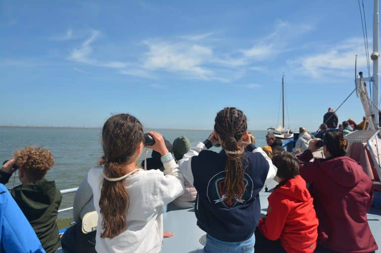 West-Zeeuws-Vlaanderen_zeehondensafari Breskens
