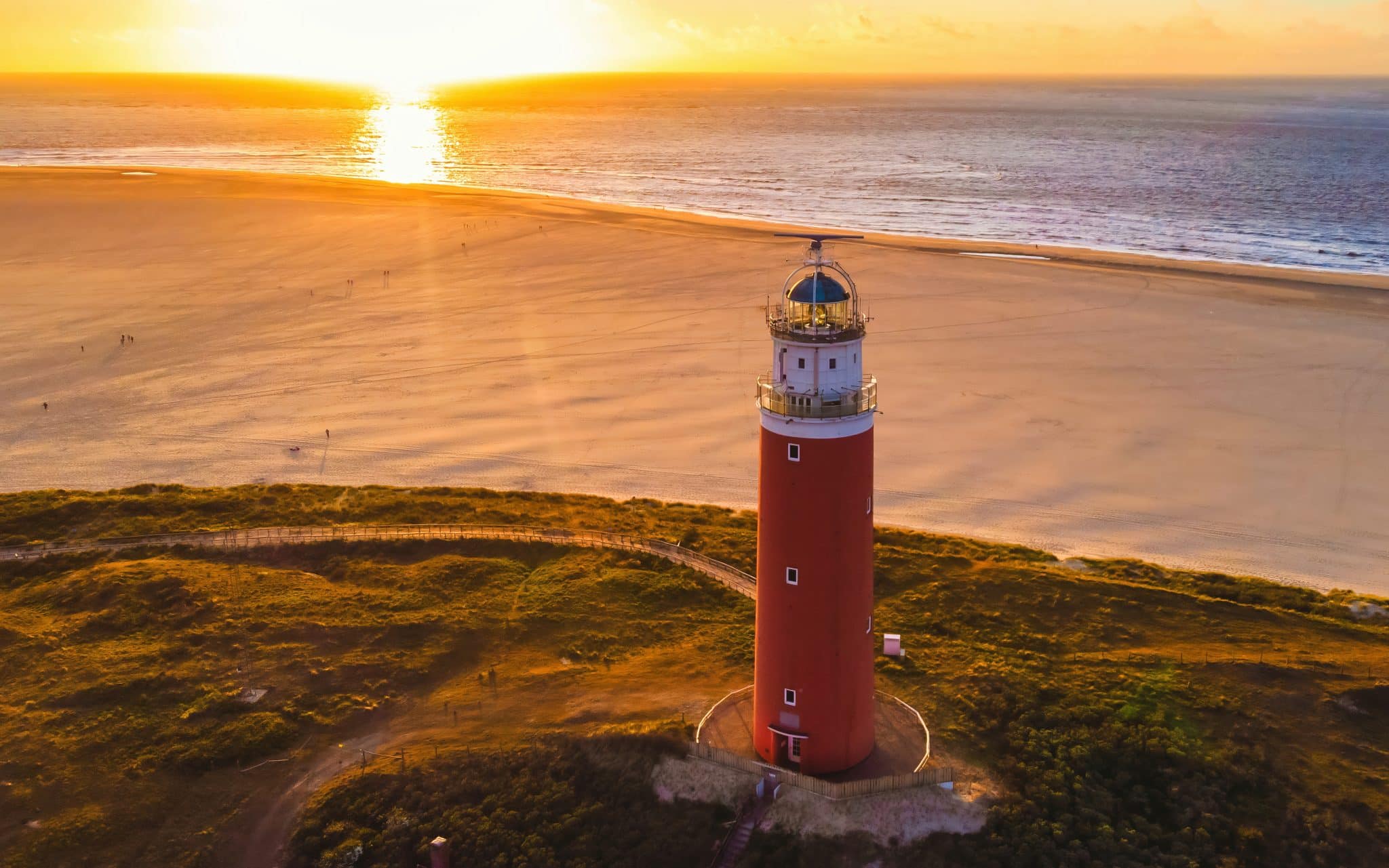 Texel